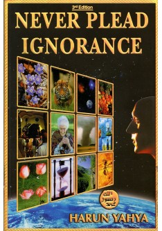 Never Plead Ignorance
