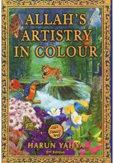 Allah's Artistry in Colour