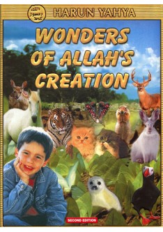Wonderful Creatures